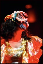 Bjork Rock Werchter Werchter Belgium 8/06/2007 Historic Singer Music Old Photo picture