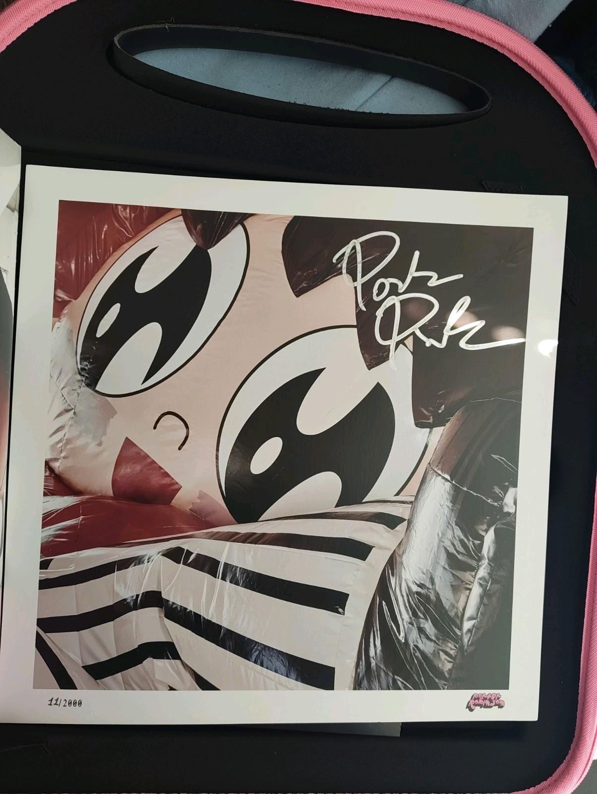Signed And Numbered AUTOGRAPH Porter Robinson SMILE :D Deluxe box set Vinyl