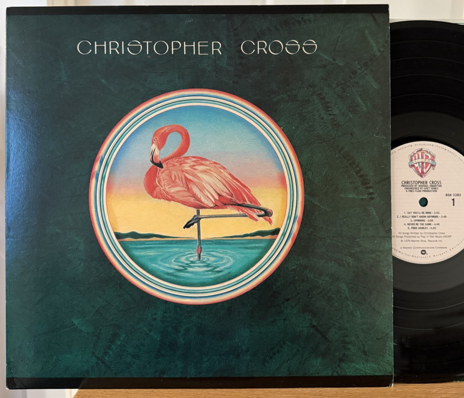 Christopher Cross Self-Titled Vinyl LP WB BSK 3383 Sailing Near Mint 1st Press