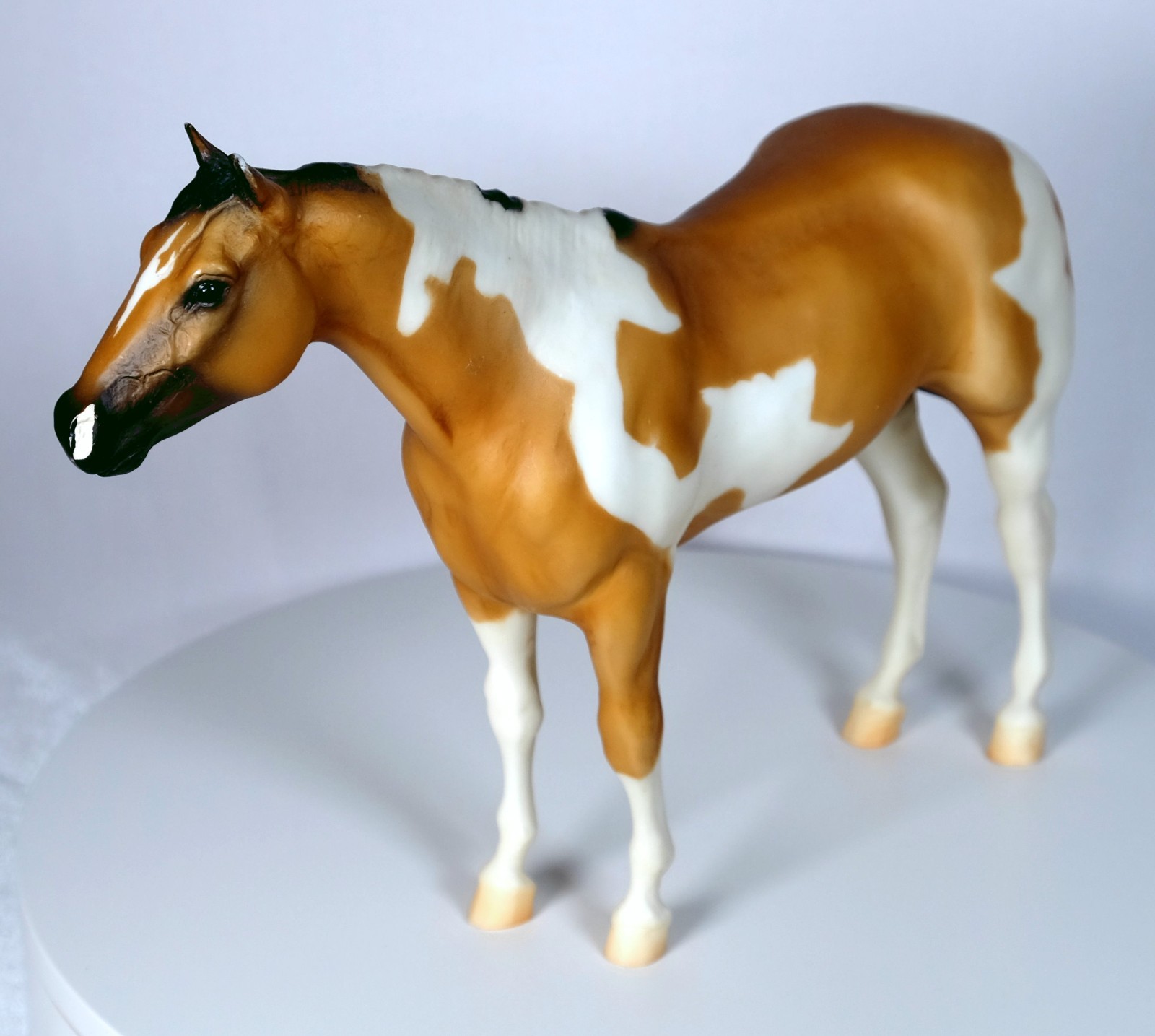 Breyer Horse Banjo Buckskin Paint Stud Spider