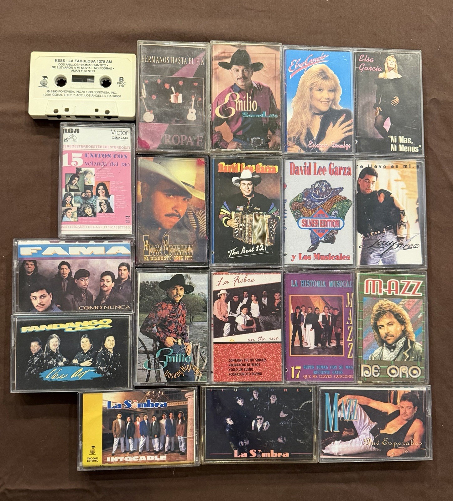 Huge Vintage Tejano Cassette Tape Lot 19 Tapes Mazz Emilio David Lee Garza Elsa