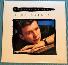 Rick Astley Never Gonna Give You Up 12
