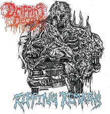 Dripping Decay Ripping Remains (Vinyl) 12