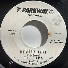 The Hippies (Formally The Tams), Memory Lane / A Lonely Piano, 7