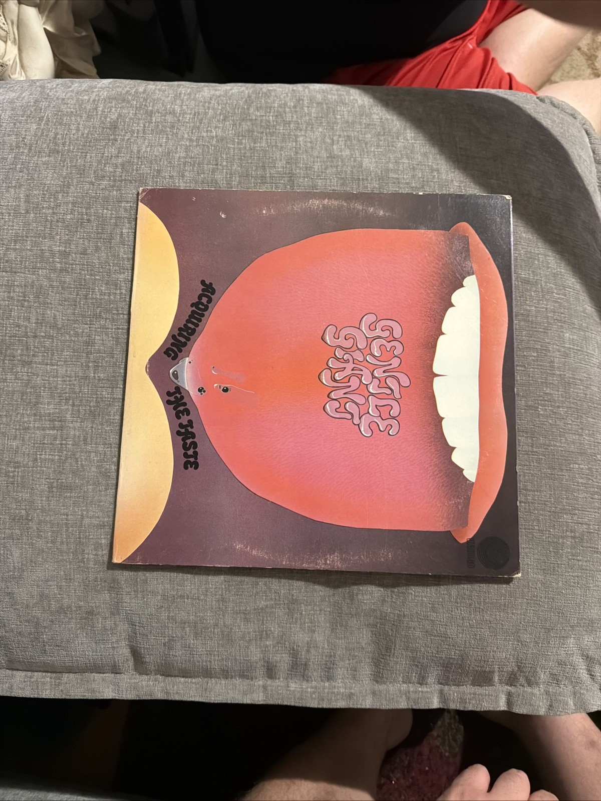 Gentle Giant - Acquiring The Taste OG 1971 Vertigo PROMO VEL-1005 gatefold - VG+