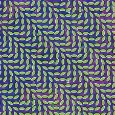 Animal Collective - Merriweather Post Pavilion [New Vinyl LP] picture