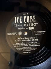 Ice Cube Feat Korn 'F...K Dying' Promo 12