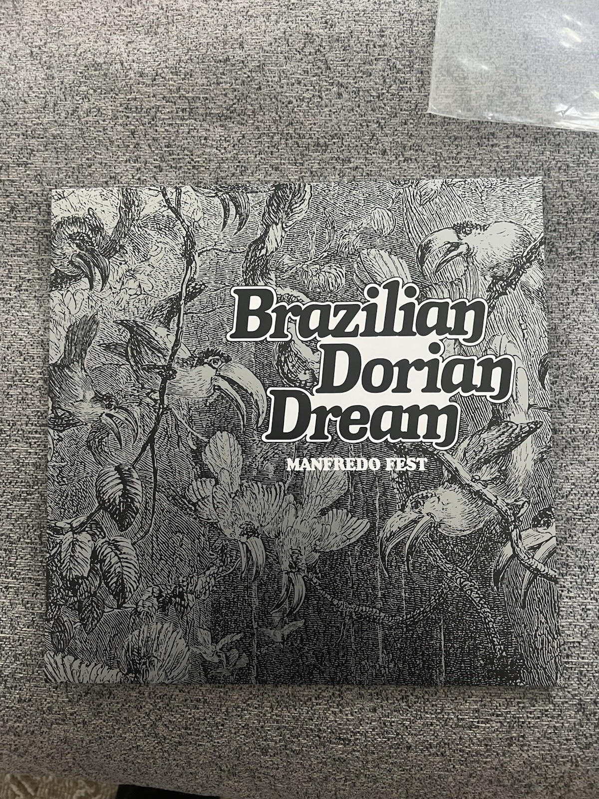 Brazilian Dorian Dream - Manfredo Fest (2020 reissue)
