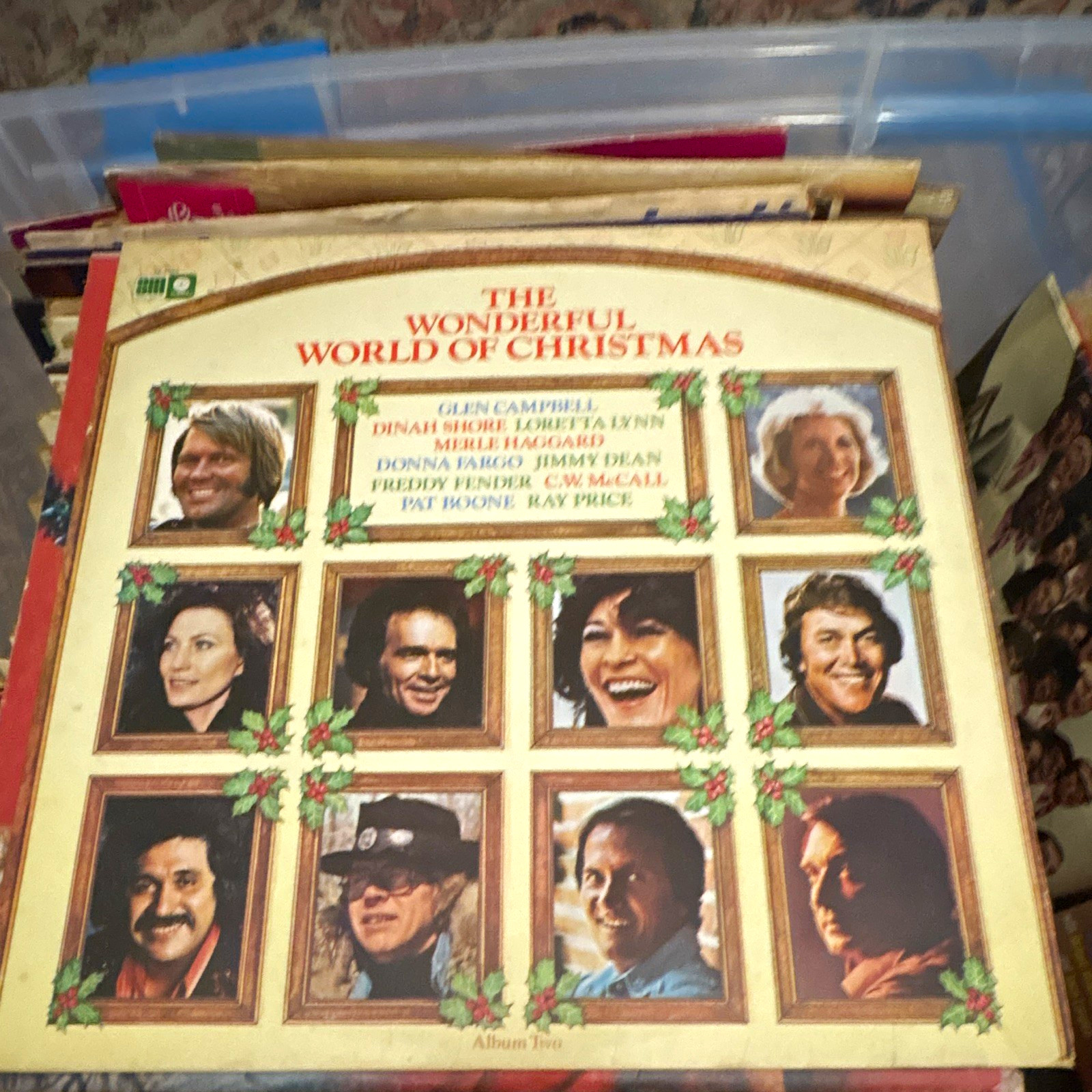 The Wonderful World of Christmas Sims SL 8025 12\