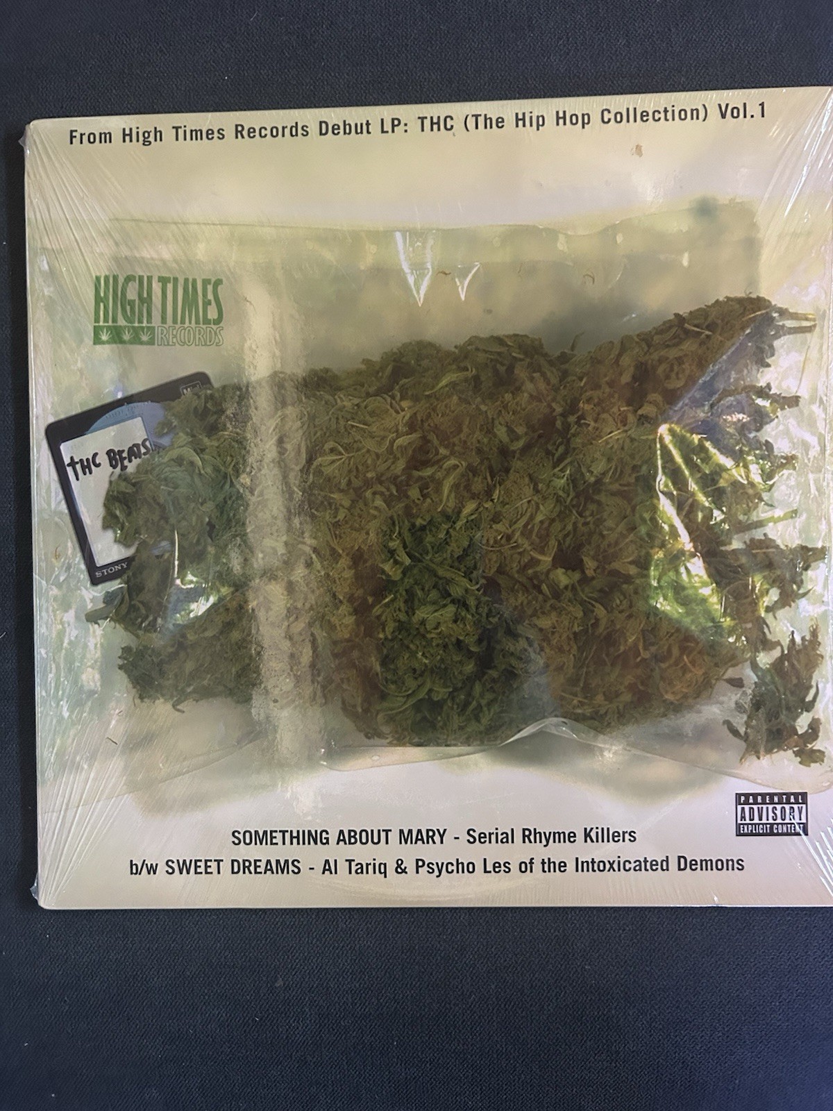 Serial Rhyme Killers / Intoxicated Demons, Something About Mary / SEALED - Rare