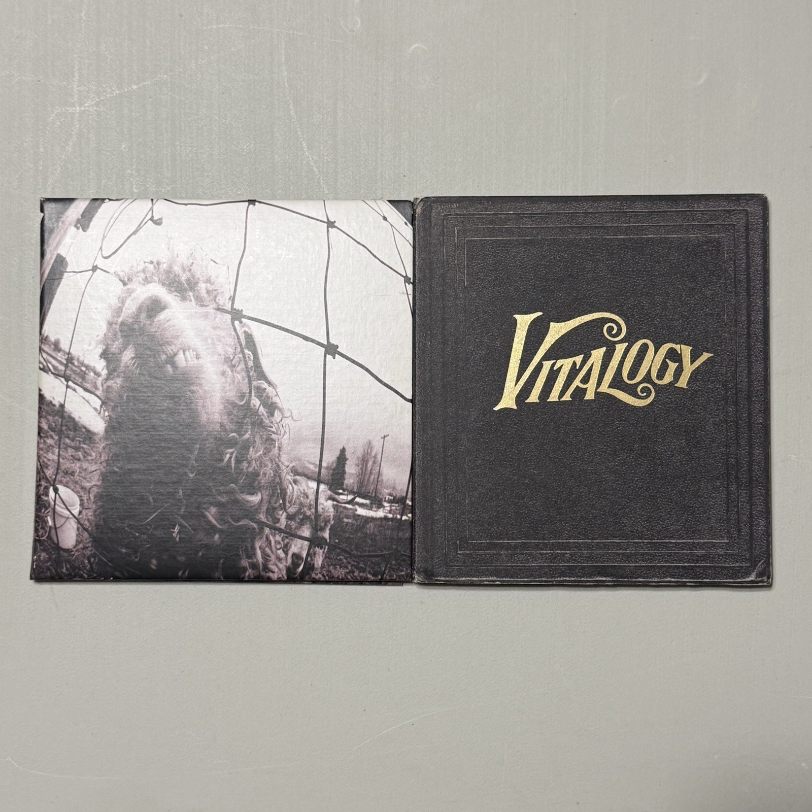 Pearl Jam CD Lot of 2: Vs. and Vitalogy