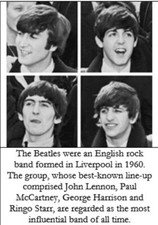 Vinyl Beatles LP Albums picture