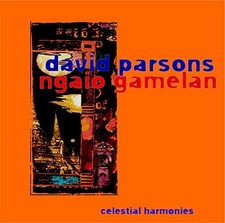 DAVID PARSONS - Ngaio Gamelan - CD - Import - **Mint Condition** picture