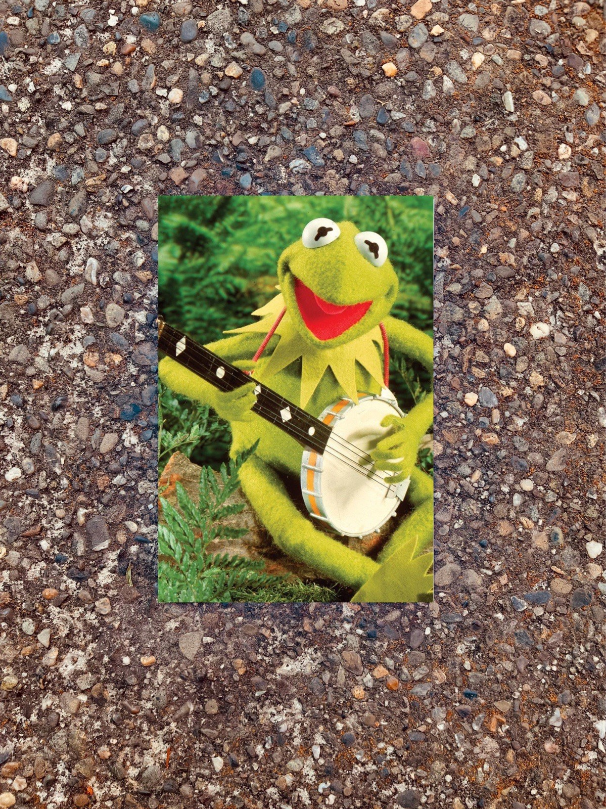 Kermit The Frog Banjo Rainbow Connection 1979 4x6 Photo Lustre Print Muppets