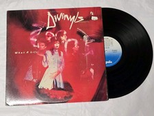 Divinyls What a Life Vinyl LP 1985 Chrysalis BFV 41511 EX picture