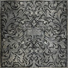 Turnpike Troubadours - Turnpike Troubadours (LP) New Sealed Vinyl picture