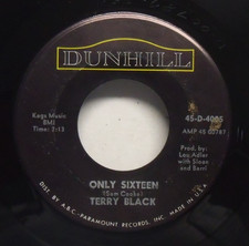 Terry Black - Only Sixteen - 1965 Pop 45 on Dunhill picture