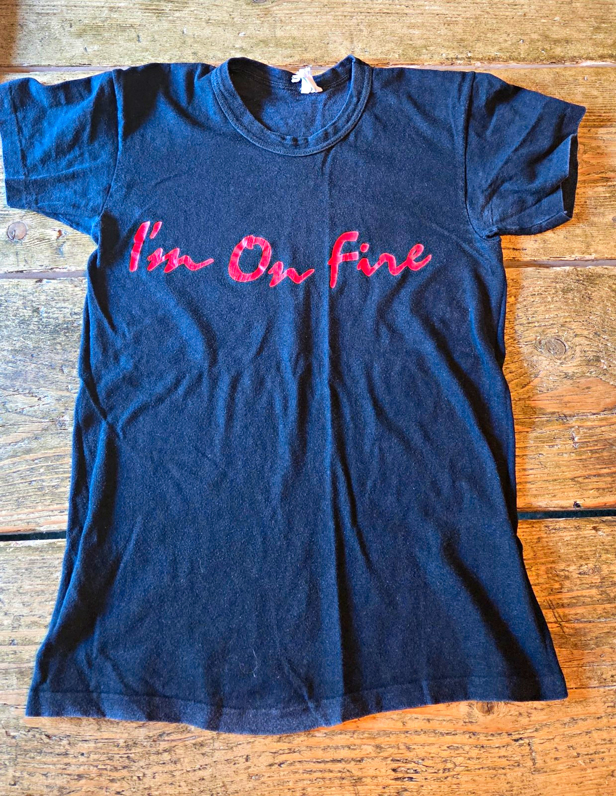 Vintage 1970s Dwight Twilley Band I\'m On Fire T-Shirt Single Stitch Tubular 6104