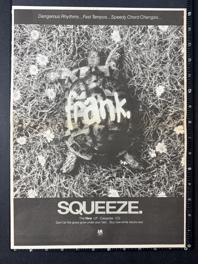 SQUEEZE - FRANK 15X11\