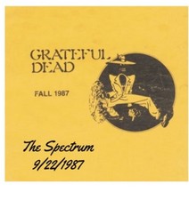 Grateful Dead Concert picture