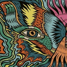 The Tronosonic Experience The Shadow - Volume 1 (Vinyl) 12