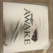 Skillet Awake Vinyl LP picture
