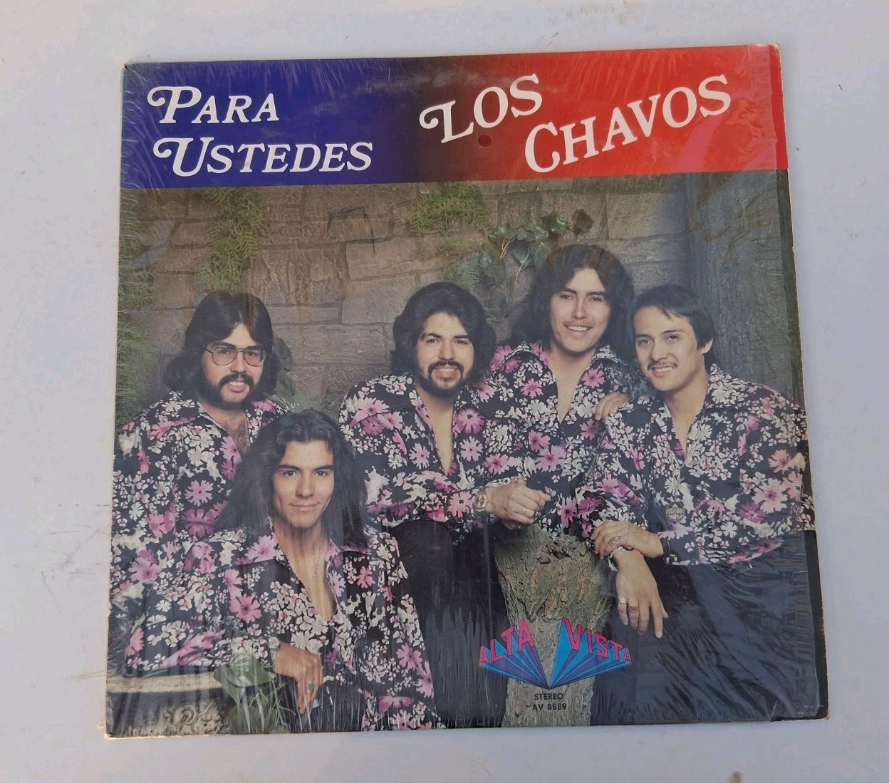 Los Chavos Para Ustedes New Mexico Latin Cumbia Rock Soul Alta Vista Vinyl LP 