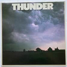 THUNDER self-titled 1980 DEBUT LP on Atco #SD 38-129 SOUTHERN ROCK HARD ROCK picture