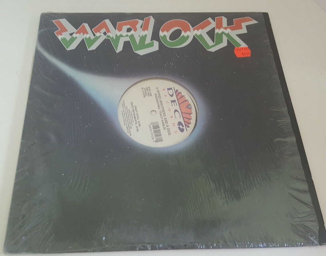 2 HYPED BROTHERS & A DOG SWING CRAZY '92 Electronic Hiphop VINYL 12
