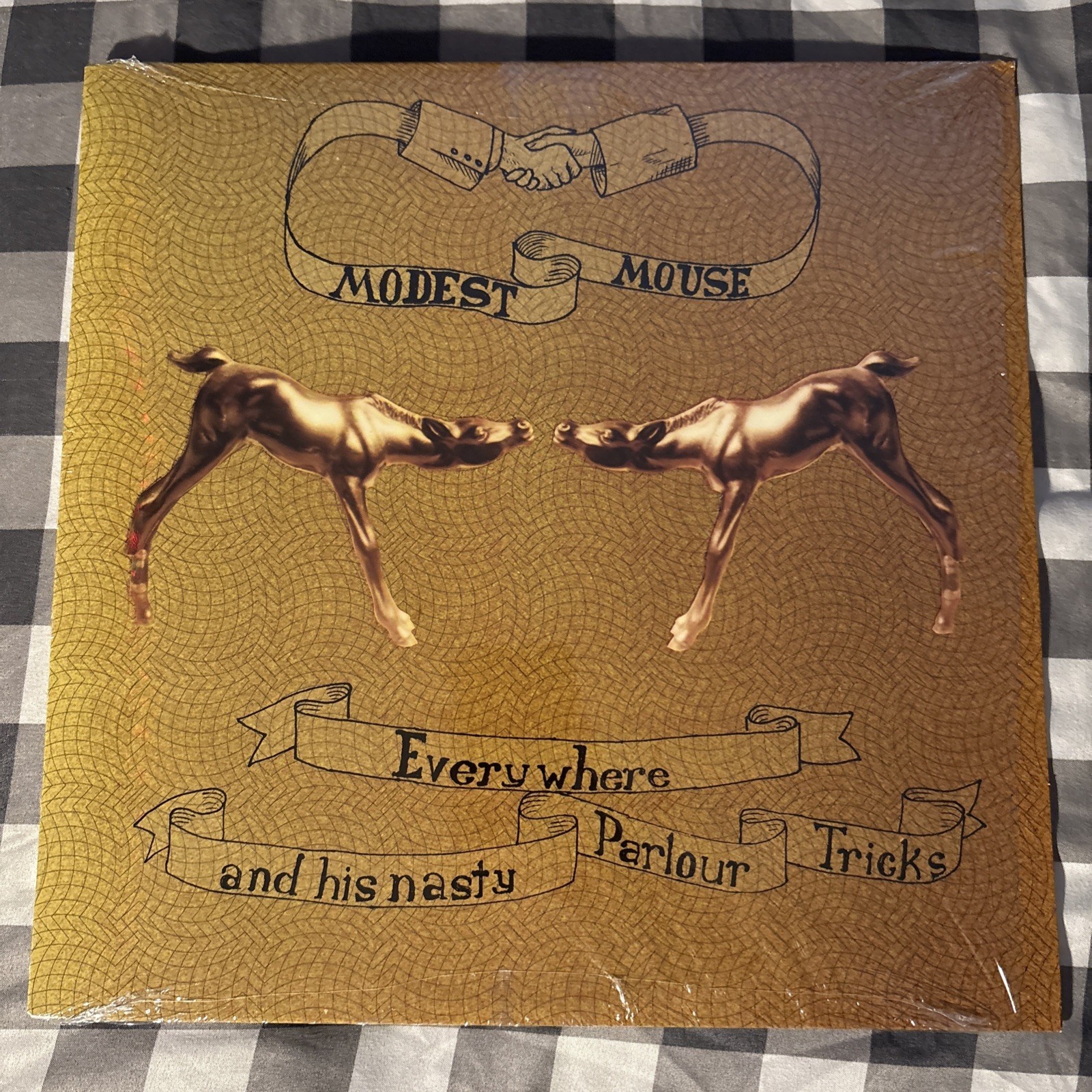 Modest Mouse-Everywhere & His Nasty Parlor  2001 LP Vinyl Record