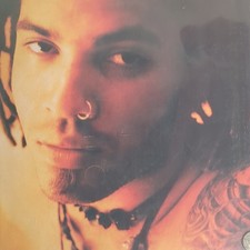 Lenny Kravitz Let Love Rule LP Vinyl 33 RPM Virgin Records 1989 VUSLP 10 picture
