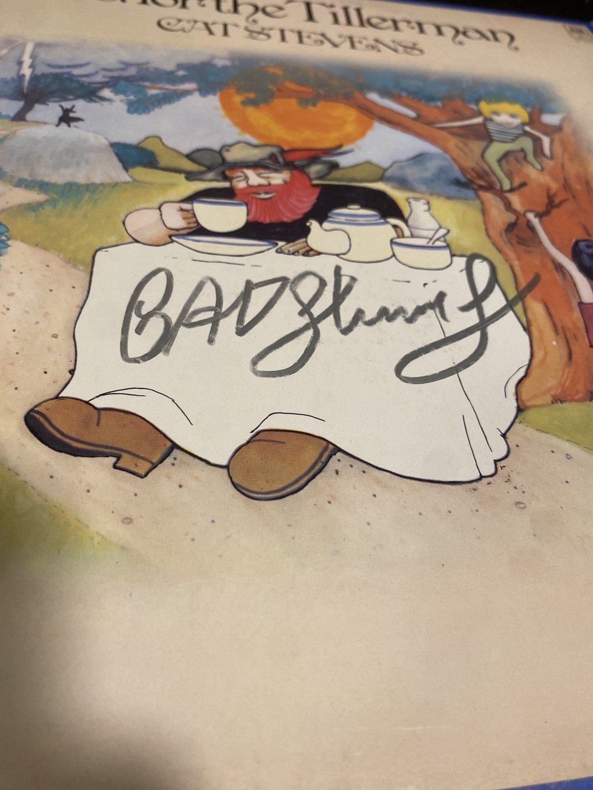 Cat Stevens Tea For The Tillerman SIGNED Vinyl LP 1970