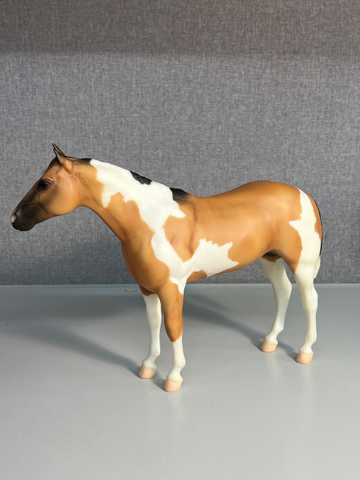 Breyer  #1236 Banjo Buckskin Paint Pinto Stud Spider Retired(336)