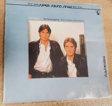 The Twins Not The Loving Kind Vinyl Single 12inch NEAR MINT Hansa picture