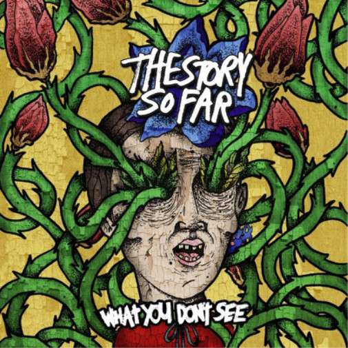 The Story So Far What You Don't See (CD) Album
