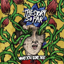 The Story So Far What You Don't See (CD) Album picture