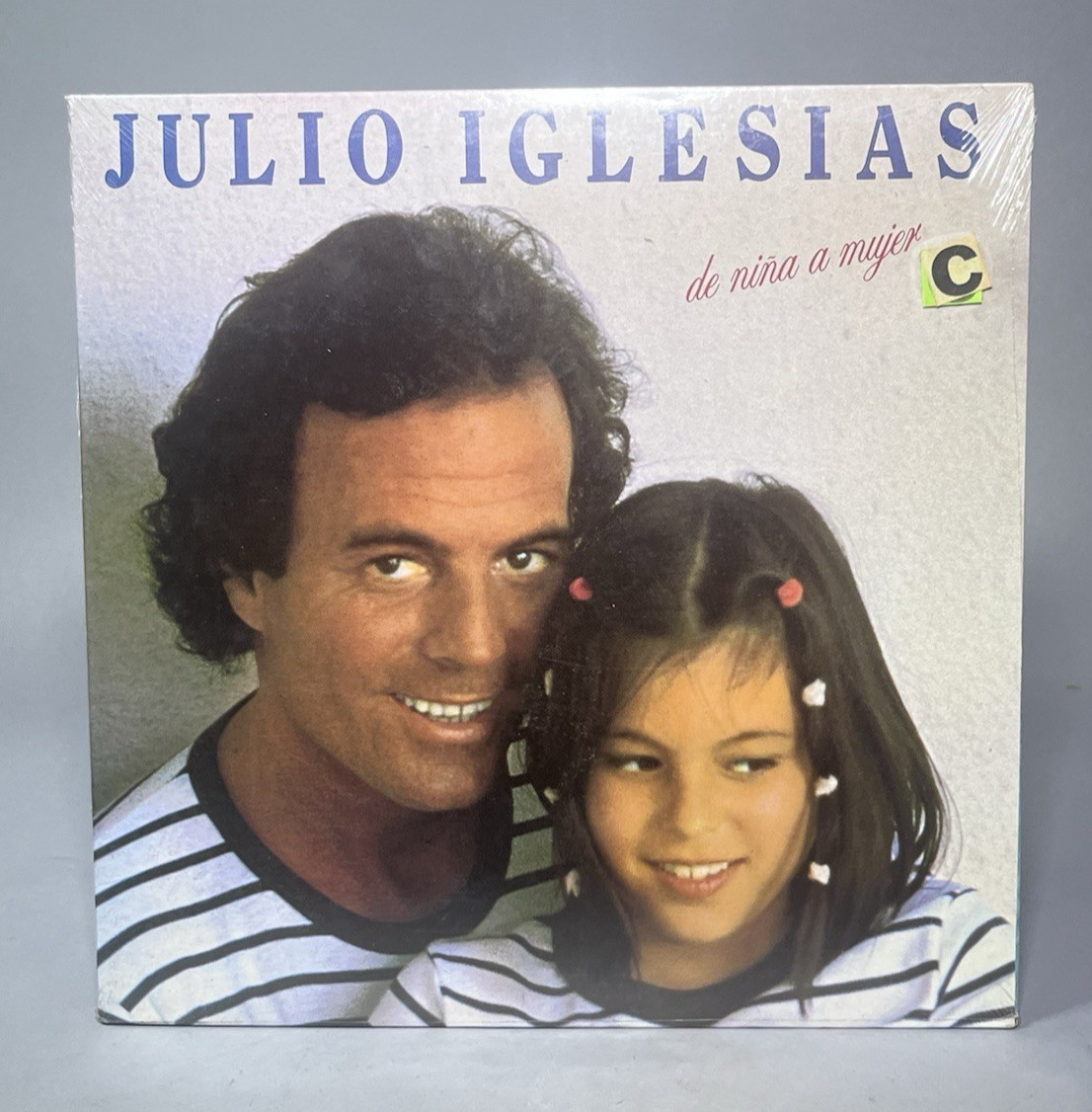 Julio Iglesias Vinyl LP  