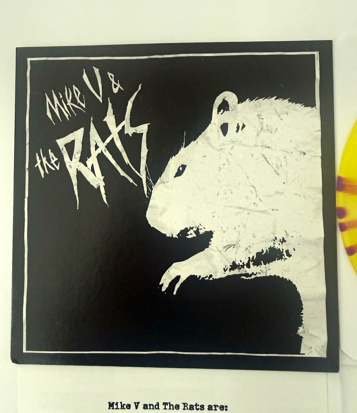 Mike V and the Rats Viewpoint 7