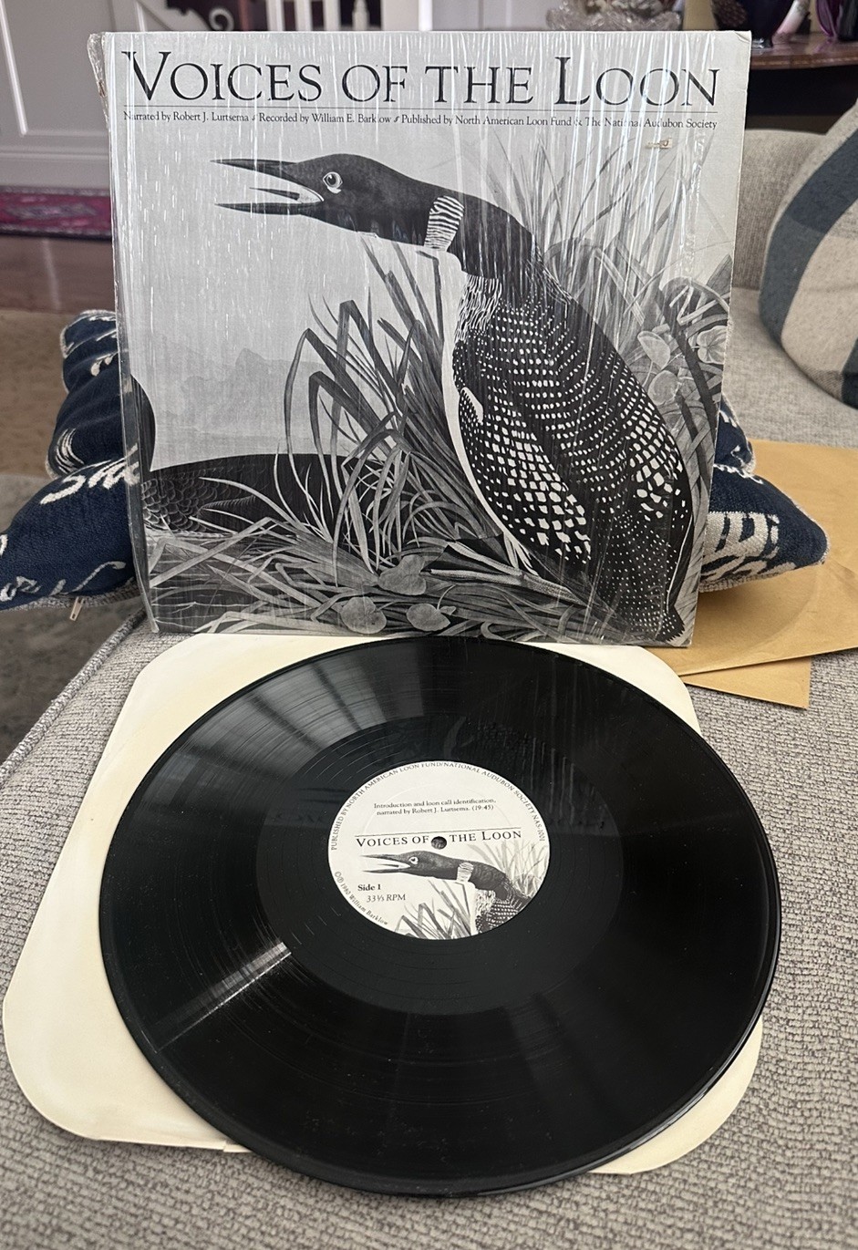 Vintage Voices of the Loon Vinyl LP Audubon Society 1980 NAS-1001 Field Record