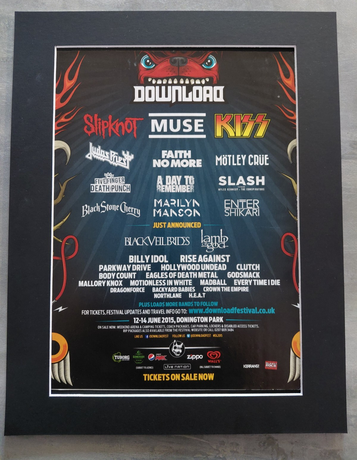 Download Festival 2015 Promo Original Festival Advert Mounted 14x11 Inches
