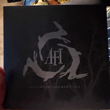 AFI Sing the Sorrow 12