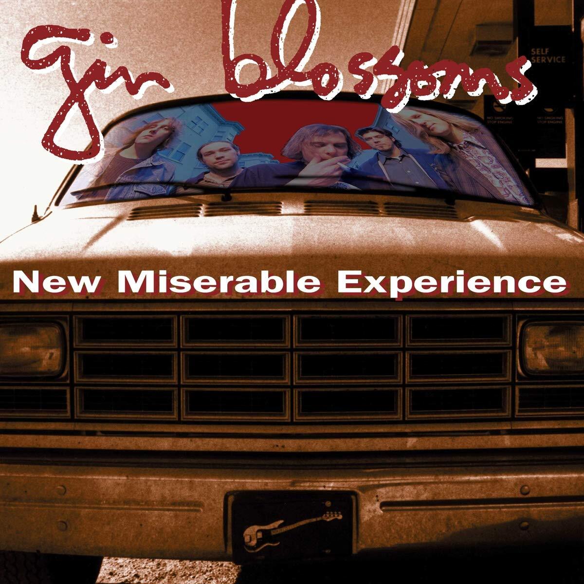 New Miserable Experience[LP] 