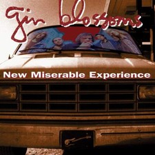 New Miserable Experience[LP]  picture
