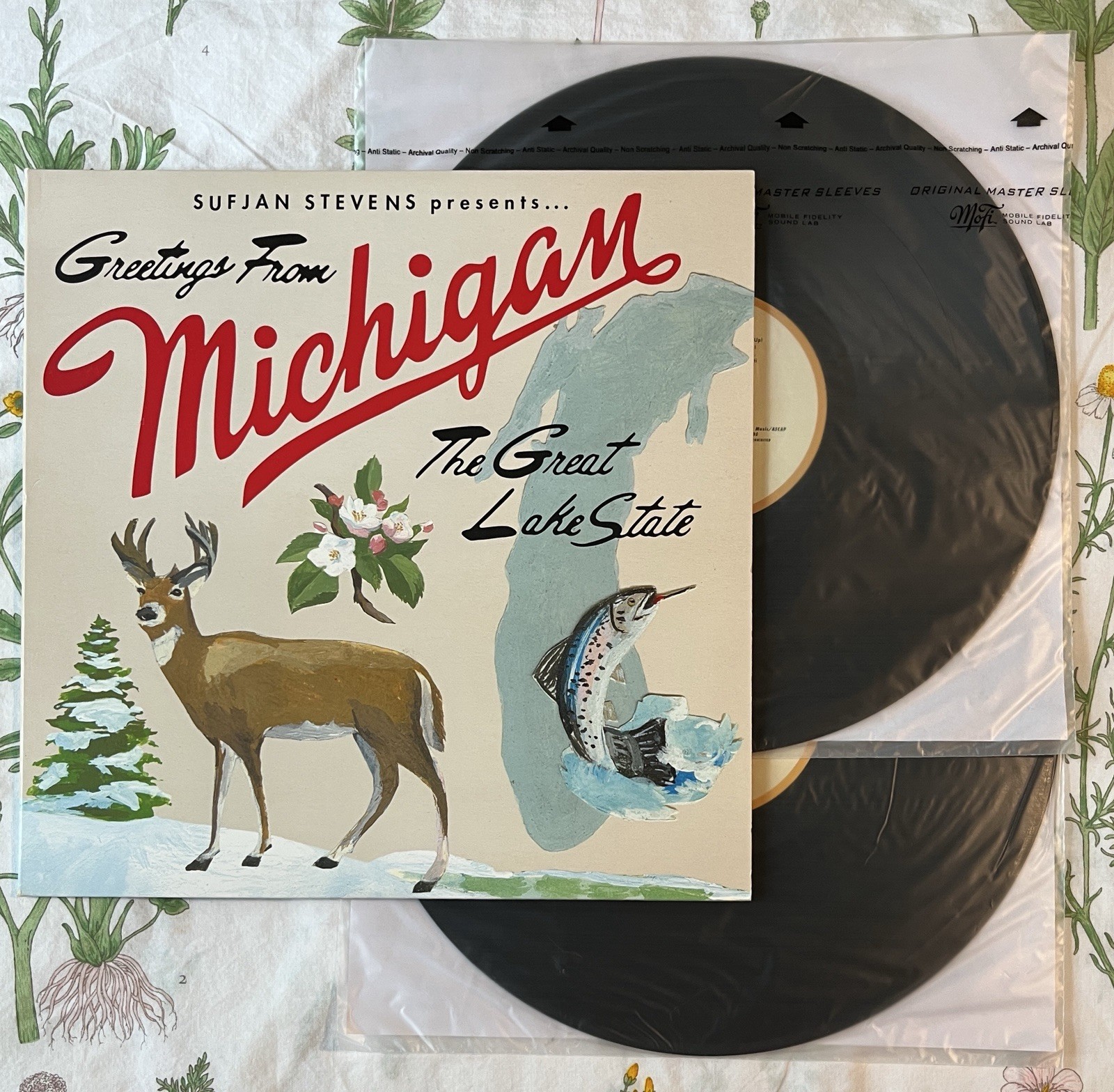 Sufjan Stevens - Greetings From Michigan: The Great Lake State (Black Vinyl)