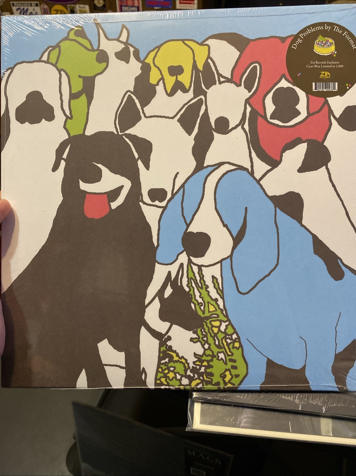 Dog Problems by Format (Record, 2006)