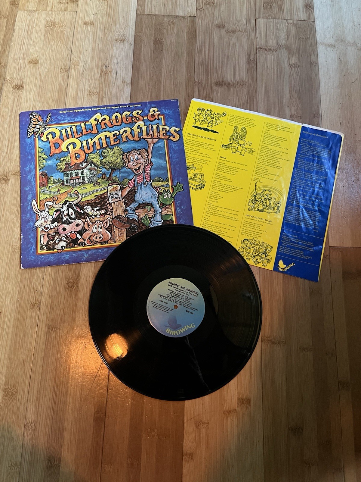 Bullfrogs and Butterflies Candle And The Agape Force 1978 Vinyl LP