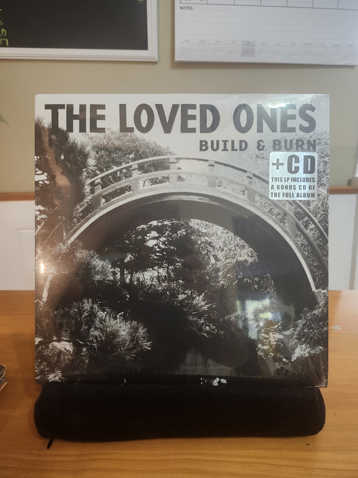 The Loved Ones Build & Burn Vinyl Record (2008, Fat Wreck Chords) SEALED 🔥🔥