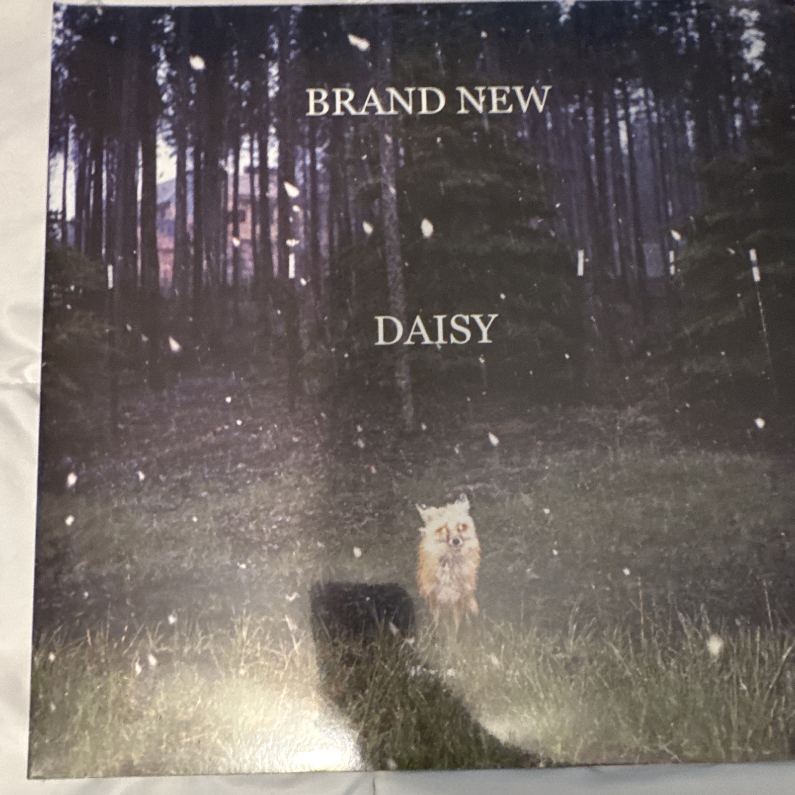 Brand New Daisy LP Vinyl Black New