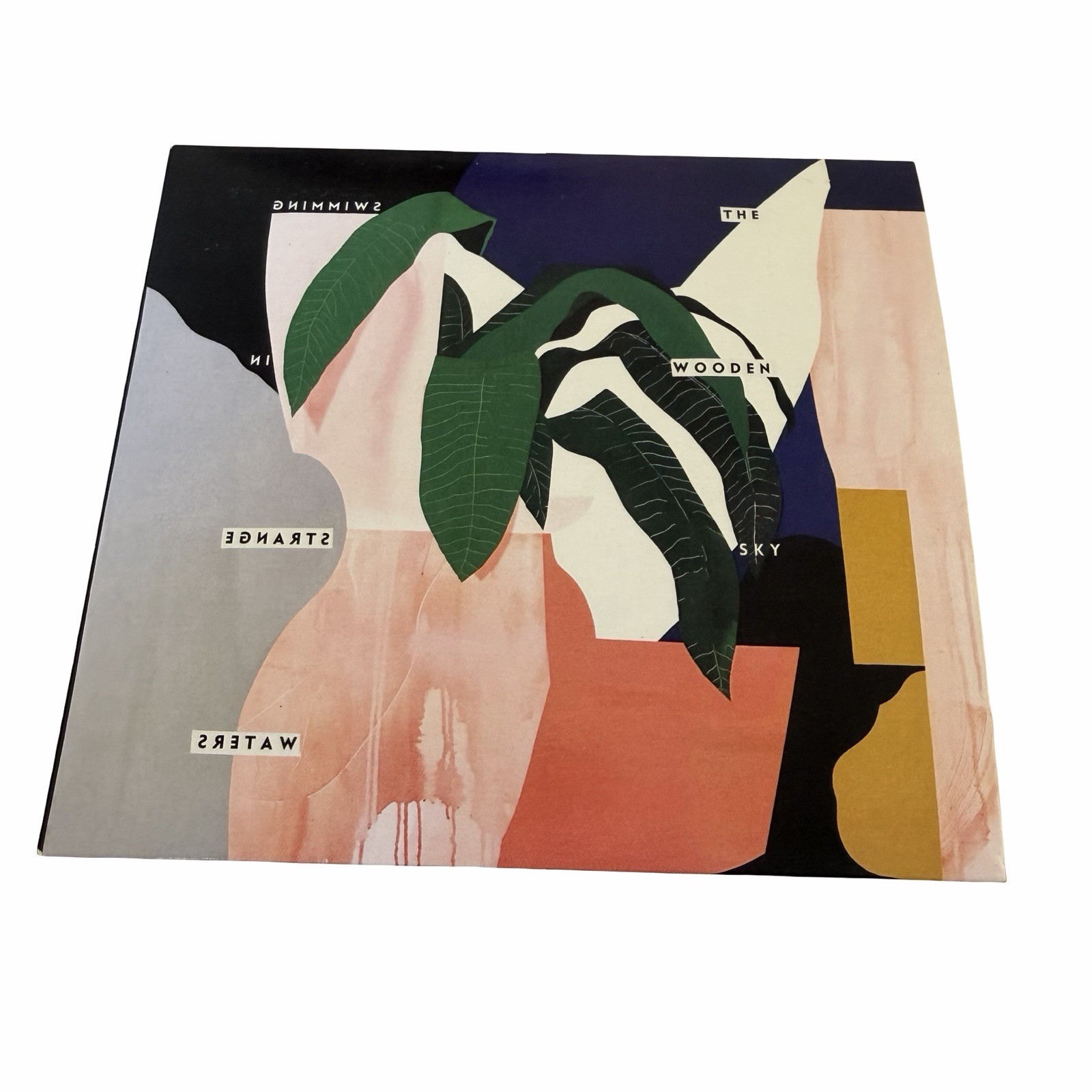 Swimming in Strange Waters [Digipak] - The Wooden Sky (CD 2017) Buy 3 Get 2 Free