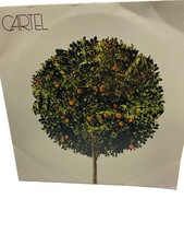 CARTEL OPAQUE ORANGE RARE HTF 2LP 2015 Limited Release Pop Punk Alternative picture